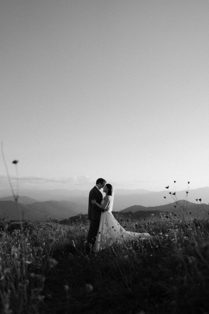 A man and woman eloping on Max Patch Mountain in Asheville, North Carolina. There are wildflowers in the foreground and mountain views in the background.