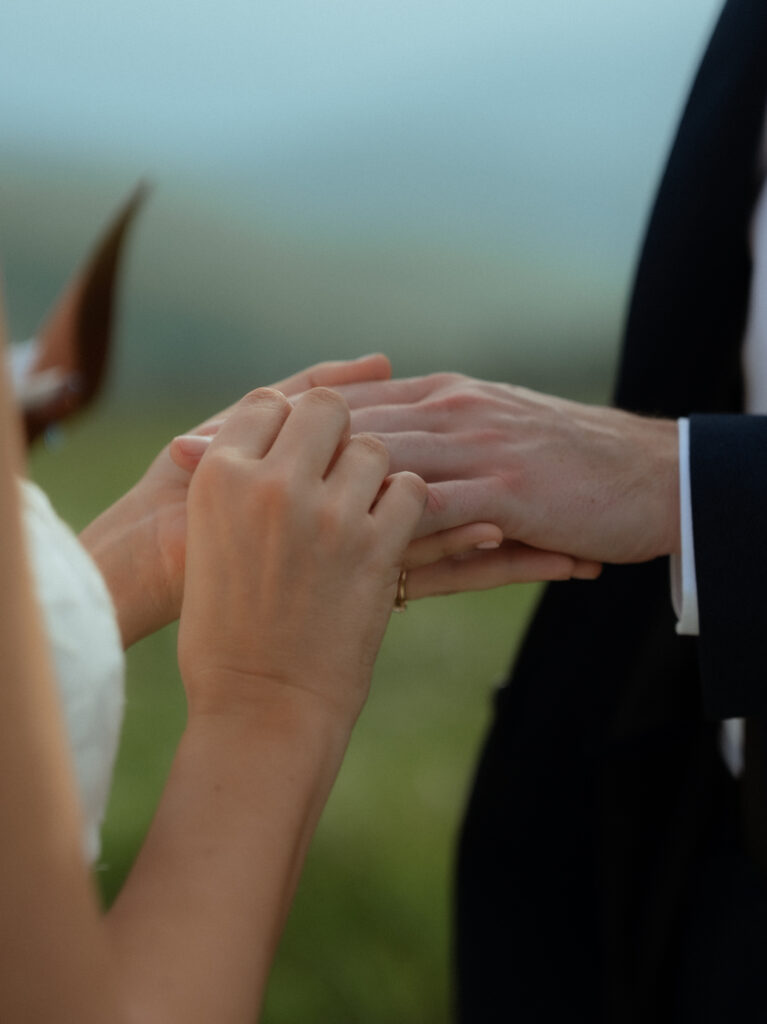 A couple exchanging rings surrounded by greenery and mountains on a sunny day